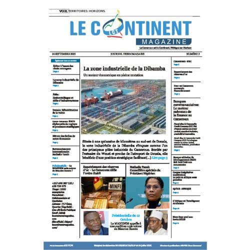 Le continent Magazine N°002 : La zone industrielle de la Dibamba